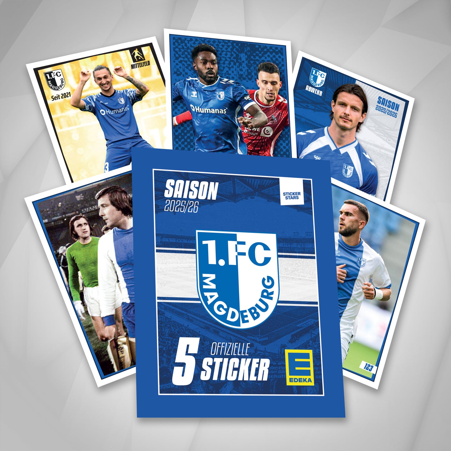1. FC Magdeburg Stickerbox 25/26 – 100 Packs