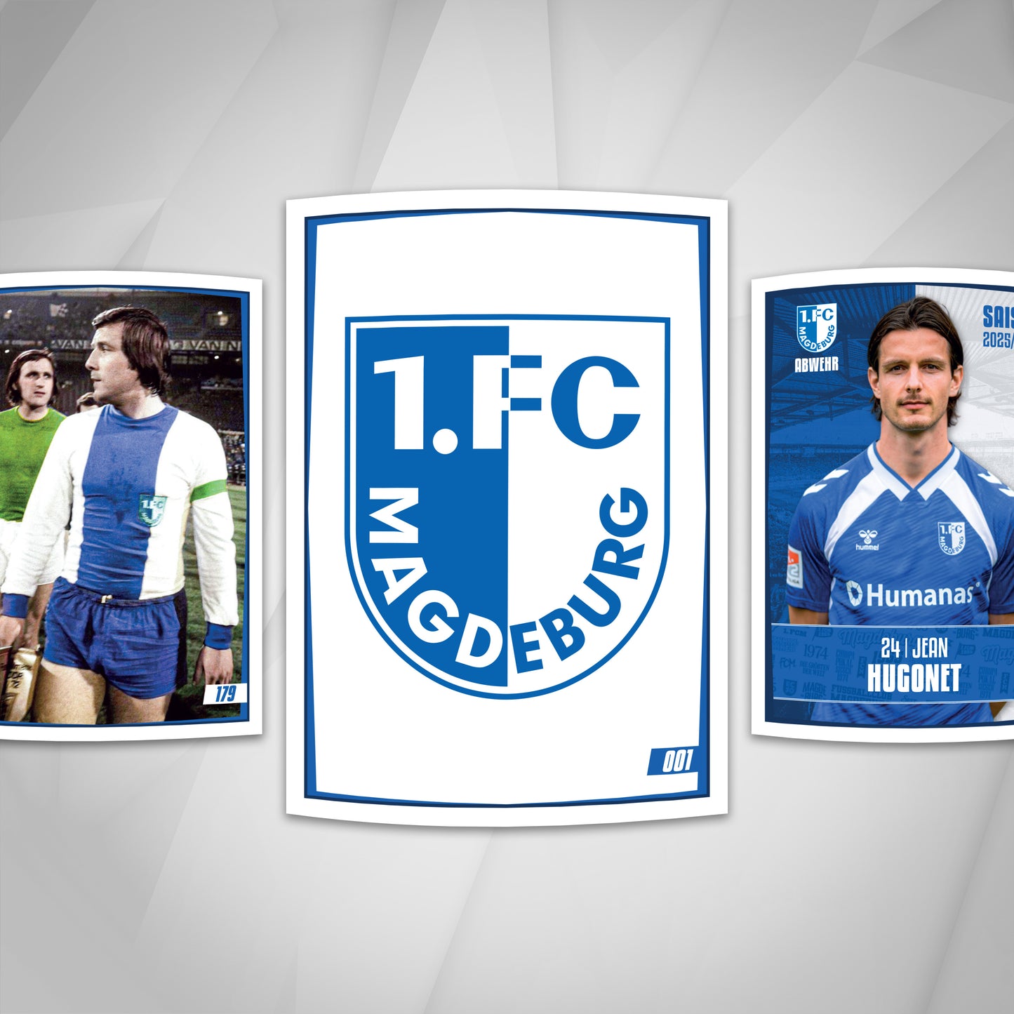1. FC Magdeburg Stickerbox 25/26 – 100 Packs