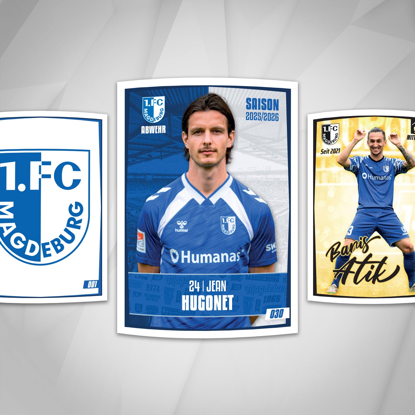 1. FC Magdeburg Stickerbox 25/26 – 100 Packs